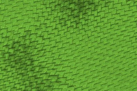 Reptile skin イラスト素材