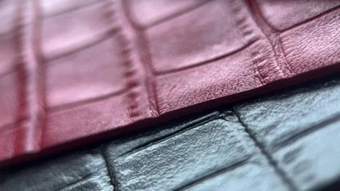 Reptile Skin Texture Set Background Stock Footage 263072815