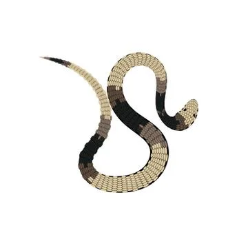Reptile snake or serpent flat vector icon for animal apps and websites Stockillustratie