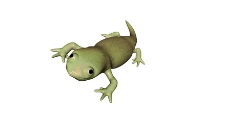 Reptile on white background Stock Footage 83468281