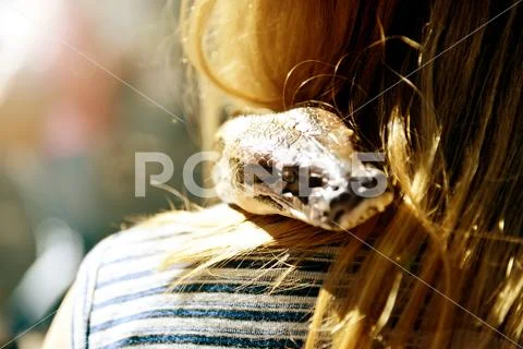 Reptiles and humans, relationship Stock Photos