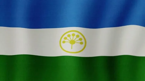 Republic of Bashkortostan. The flag flutters in the wind Stock Footage 205744950