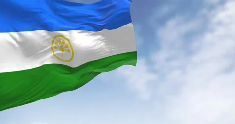 Republic of Bashkortostan flag waving in the wind on a clear day Stock-Footage 292825629