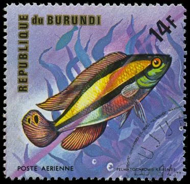 Republic of burundi, - circa 1975: a stamp printed by burundi shows the fish Stock Photos