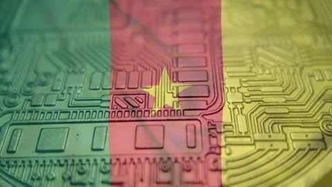 Republic of Cameroon flag with Bitcoin Cryptocurrency. Regulations, Stock Footage 166636768