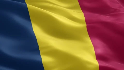 Republic of Chad Flag Waving Smoothly with Silk Satin Texture Stock Footage 334629085