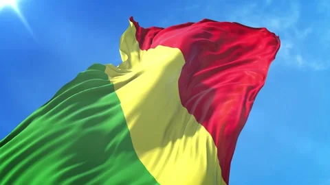 Republic of the Congo Flag Low Angle View Stock Footage 295682579