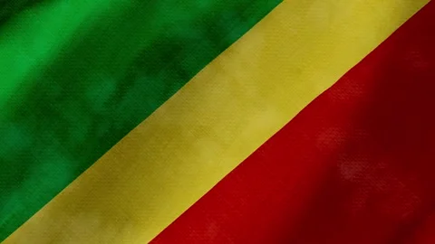 Republic of the congo flag waving background with real fabric texture Stock-Footage 291601277