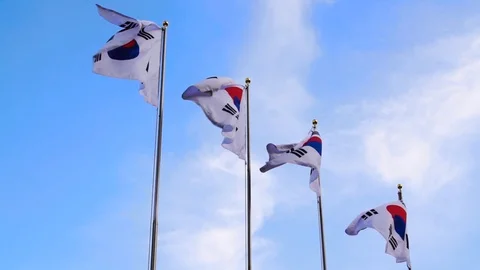 Republic Korea Flag Vídeo Stock 107858332