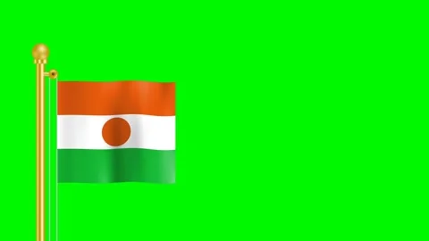 Republic of the Niger flag illustration Stock Footage 197560071