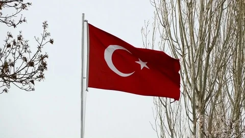 Republic of turkey flag waving with the wind through the trees Vídeo Stock 87901128