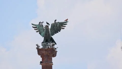 Republican Eagle Statue Perching Iron Column Plaza De La Patria Aguascalient Stock Footage 345376720