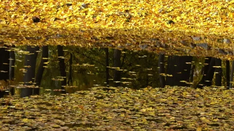 Repulse Video stock 97653623