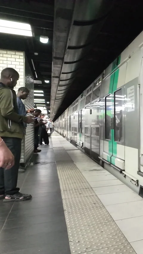 RER trains of Paris Stock Footage 315073359