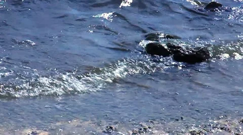 Res003 Vídeos de archivo 8559081