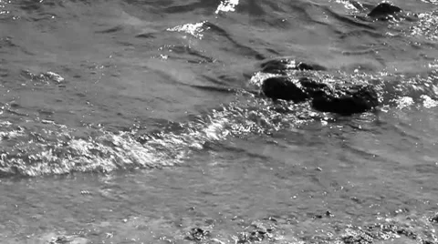 Res003BW Vídeos de archivo 8559078