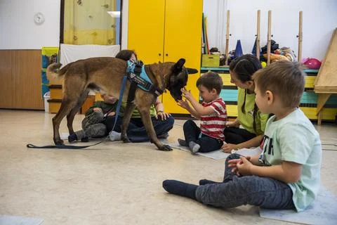 Rescue dog Zen, the world's best rescue dog, Budapest, Hungary - 04 Oct 2019 Stock Photos