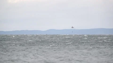 Rescue helicopter Stock Footage 147714910