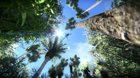 Rescue helicopter in the jungle Stock Footage 25302136