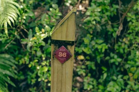 Rescue Number Location Code Trail Marker Stock Photos