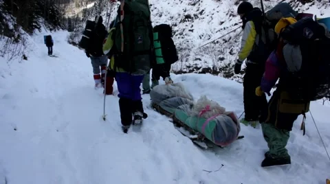 Rescue operation in the forest Stock Footage 40433711