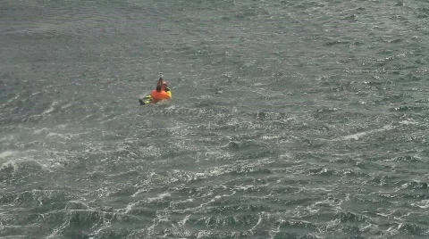 Rescued from Sea Video stock 778969