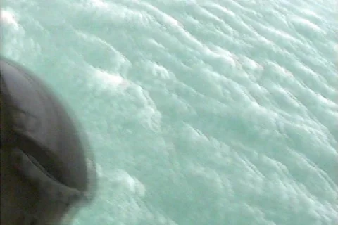 Rescuer Stock Footage 1038721