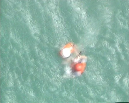 Rescuer Stock Footage 1038782