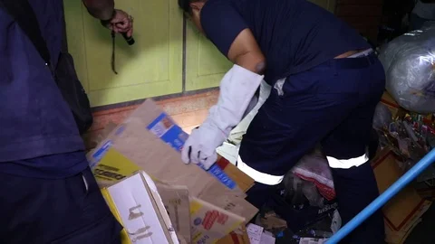 Rescuers epic tug-of-war with python that lived under house eating familys ... Video stock 105831586