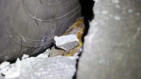 Rescuers save python trapped under truck 库存影片 106315577