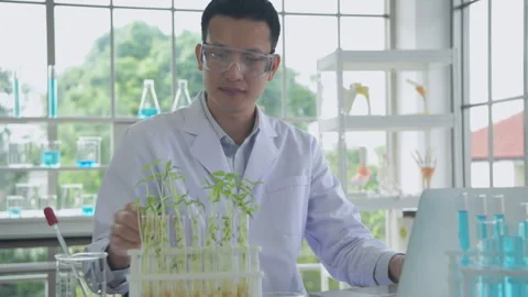 Research concept of 4k resolution. Asian scientists are researching plant g.. Stock Footage 276571258