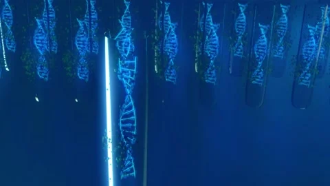 Research concept for genetic modification with test tubes with DNA spirals. 3 Stock Footage 146365445