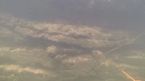 Research divers discover human bones from the Bronze Age in the Tollensetal P2 Stock Footage 295995541