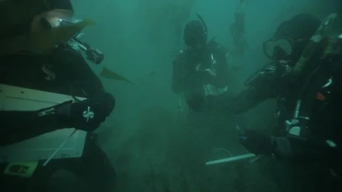 Research Divers Using Measuring Caliper to Measure Sea Urchin in Kelp Forest Stock Footage 121526731