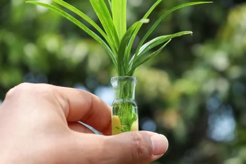 Research for the environment Stockfoto's