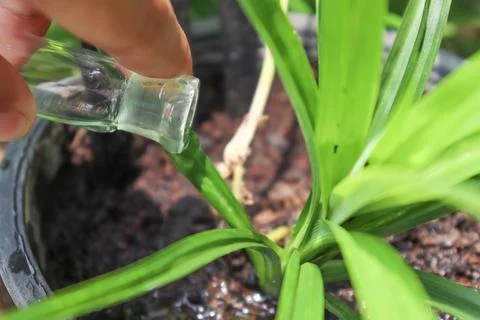 Research for the environment Фото