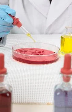 Research experiment Stock Photos