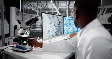 Research Lab Scientist Using Computer Foto stock
