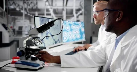 Research Lab Scientist Using Computer Foto stock