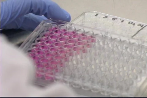 Research laboratories Vidéo 632976