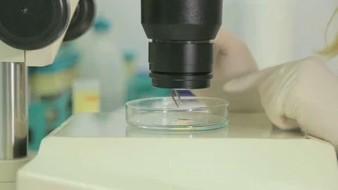 Research Laboratory Stock Footage 84012498