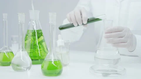  Research of medicinal properties of plants. Stockbeeldmateriaal 144014574