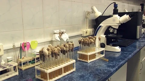 Research microscope and test tubes on the table. Stock Footage 127321330