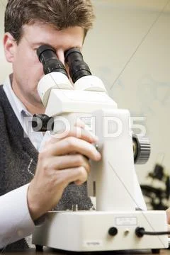 Research Stock Photos