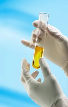 Research 写真素材