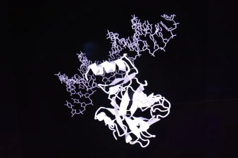 Research in the proteomics. Stock Photos