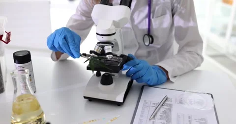Research scientist looks into microscope and holds marijuana leaf Vídeos de archivo 250775325