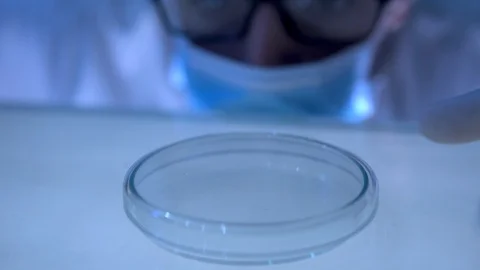 Research scientist studying plant samples in lab Stock Footage 88615728