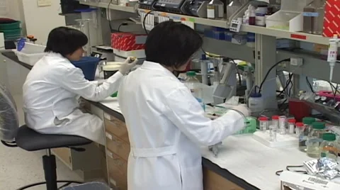 Research scientists at lab bench zoom in over-the-shoulder 動画素材 1107513