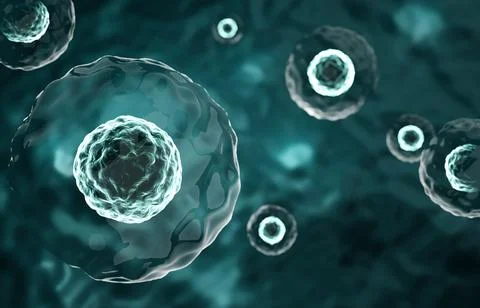 Research of stem cells. Stem cells under a microscope. Cellular Therapy Stock Illustration